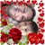 Ann Quiroz's profile image