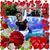 Teresa Aleman's profile image