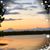 Vickie Hackey's profile image