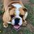 Reveles Juan Jr.'s profile image