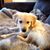 Kevin Reardon's profile image