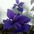 Mary Smith West's profile image