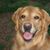 Mary Kay McAdams's profile image