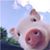 Kimi Zhang's profile image