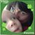 Virginia Davis-Houle's profile image