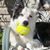 Deb Fratto's profile image