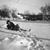 Lori Billian's profile image