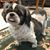 Wilma Davis Mullins's profile image