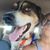 Liz Pappas's profile image