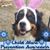 Stephanie Bellant's profile image