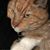 Debbie Seymour's profile image