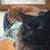 Nancy Blom's profile image