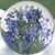 Diane Borden's profile image