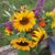 Denise Childress's profile image