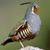 Kelly Hoseney's profile image