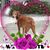 Anita La Mont's profile image