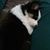 Kathy Kieffer Hare's profile image