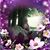 Rose M. D. Shreve's profile image