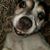 Gigi WhitLock's profile image