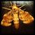 Bo Hallford's profile image