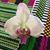 Lorie Gumbs Tyler's profile image
