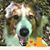 Thomas George's profile image