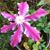 Dorothy Lang's profile image
