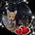 Raime Egolinsky-Sanchez's profile image