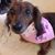 Shirley Yates Ritch's profile image