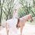 Rachel Harbour-Jump's profile image