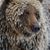 Matt Baher's profile image