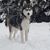 Matthew Knezel's profile image