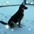 Kat Krieger's profile image