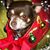 Kathy Bookie's profile image