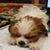 Shela Black's profile image