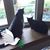 Kathy Halbert's profile image