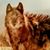 Ryan Fisher's profile image
