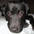 Jay Schalow's profile image