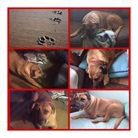 Jess Masso's profile image