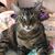 Wendy Mygrant's profile image