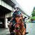 Melissa Newhard's profile image