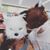 Tiffany Ackerman Westmoreland's profile image