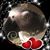 Lisa Van Horn's profile image