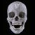 Lyubo Kolev's profile image