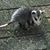 Ken Martin's profile image