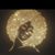 Lisa Walker's profile image