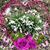 Trudy Eperjesi's profile image