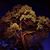 Gary Heatherly's profile image