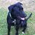 Sandi Willard's profile image