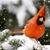 Vicky Bauder-Rivet's profile image